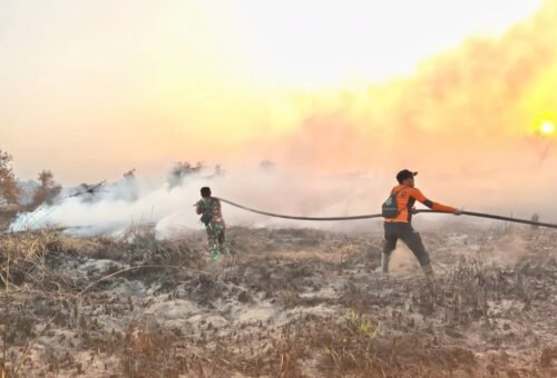 Penanganan Karhutla Diperkuat lewat Deteksi Dini dan Patroli