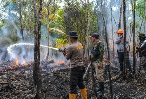 Penanganan Karhutla Melalui Komando Terpadu dari Pusat hingga Daerah
ï¿