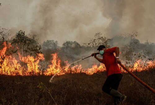 Ratusan Hektare Karhutla Berhasil Dipadamkan, Penanganan Terus Berlanjut