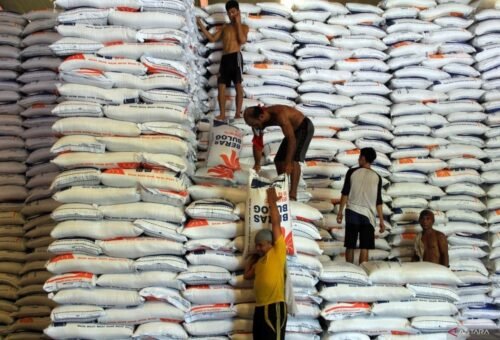 Cadangan Beras Terjaga, El Nino Diantisipasi Sejak Dini