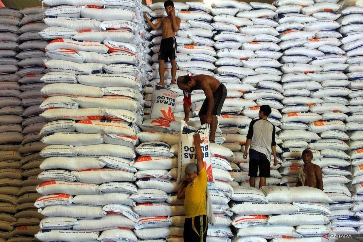 Cadangan Beras Terjaga, El Nino Diantisipasi Sejak Dini