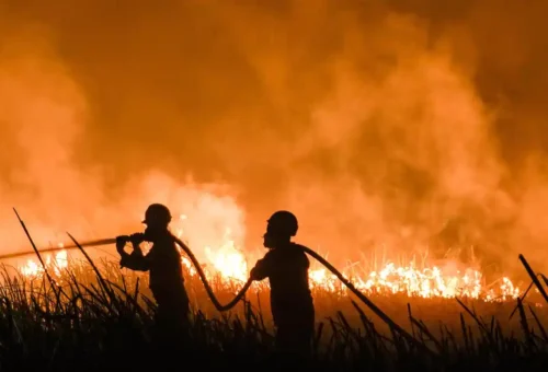 Penanganan Karhutla yang Intensif, Berpijak pada Keselamatan Masyarakat