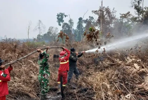 Penanganan Karhutla Terus Diintensifkan, Pemerintah Perkuat Koordinasi Lapangan