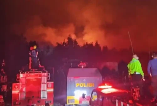 Pemerintah Tambah Bantuan Karhutla untuk 44 Daerah Terdampak