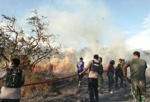 Presiden Intruksikan 70 Ribu Personel Gabungan Percepat Pemadaman Karhutla