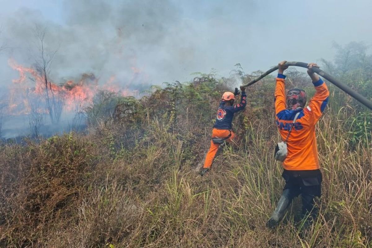 Mengawal Penguatan Satgas Darat dan Udara Dalam Penanganan Karhutla Gambut
ï¿