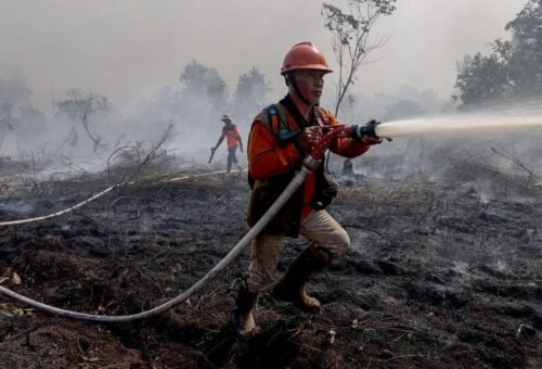 Respons Cepat dan Terpadu Atasi Karhutla di Sejumlah Wilayah
ï¿½ï¿