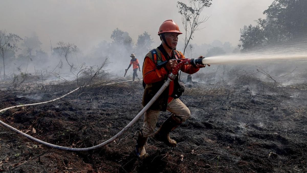 Respons Cepat dan Terpadu Atasi Karhutla di Sejumlah Wilayah
ï¿½ï¿